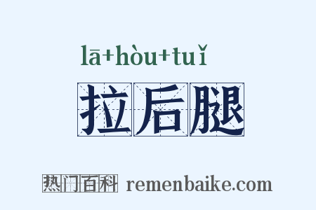 拉后腿是什么意思的图片